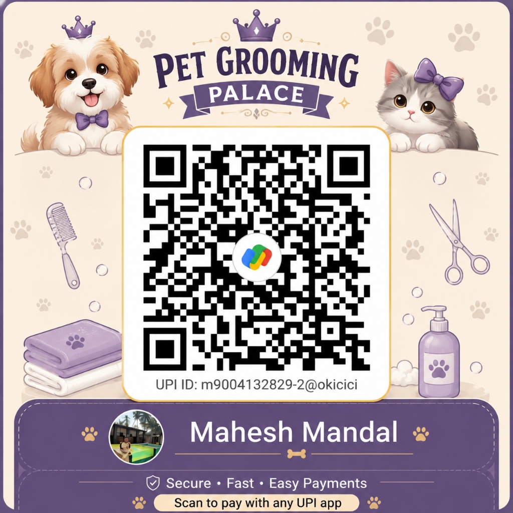 UPI QR